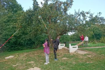 Apfelbaumprojekt der Klasse BO7